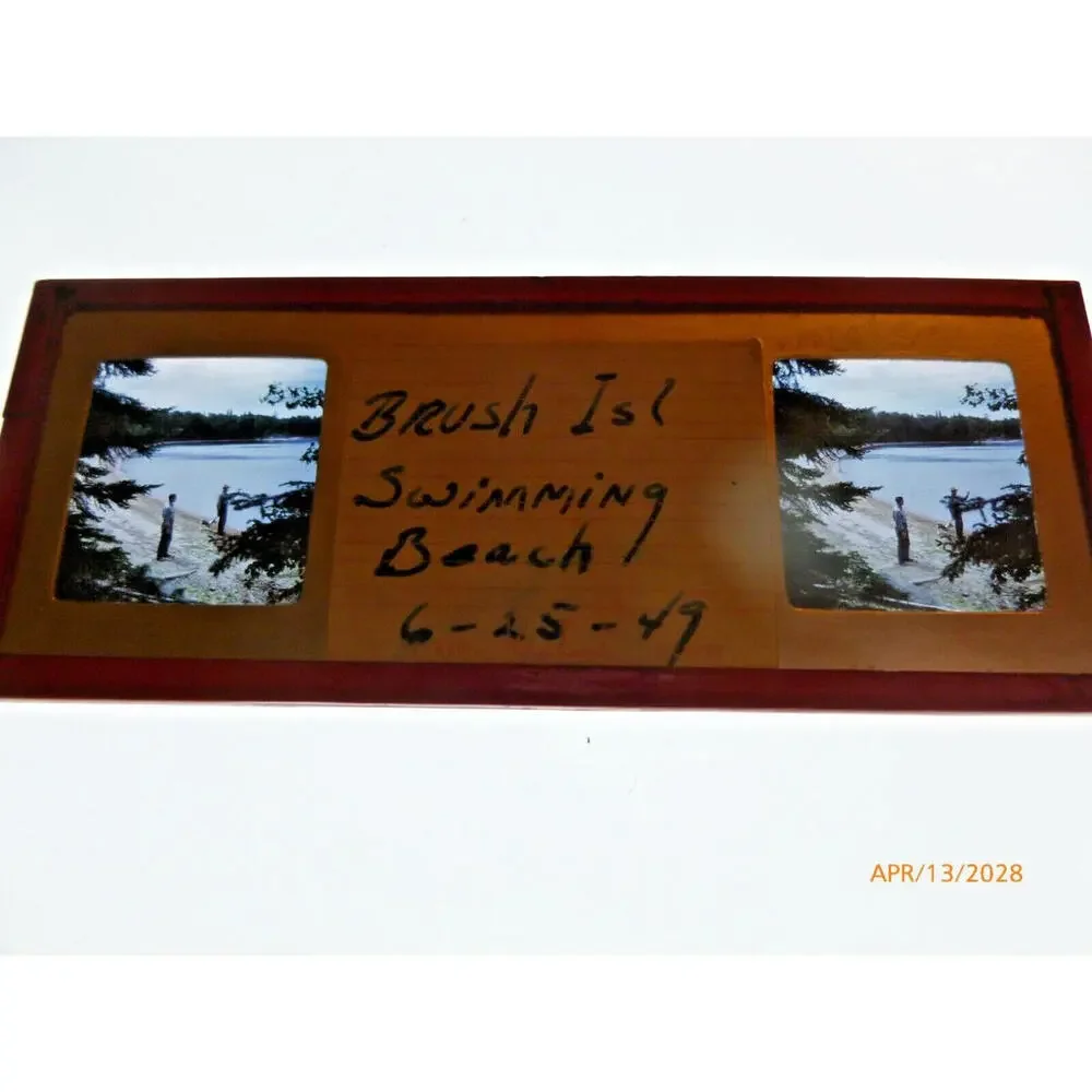 Vintage 1949 Stereo Slide Brush Island Swimming Beach Men Dog Photography‎ 1949